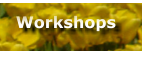 Workshops