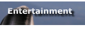 Entertainment