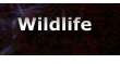 Wildlife